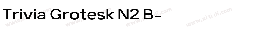 Trivia Grotesk N2 B字体转换